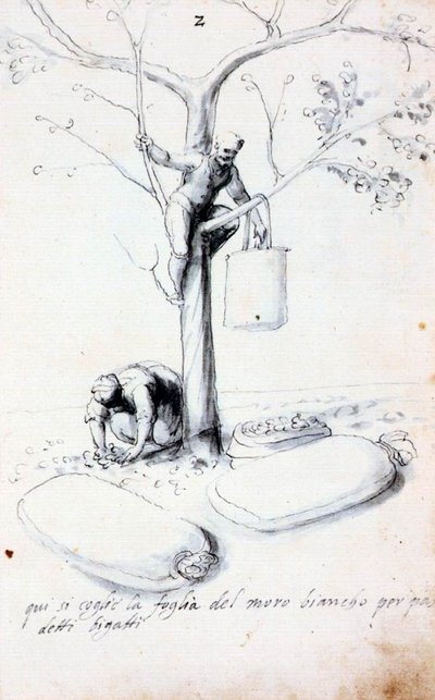Treatise on Silk Culture and Manufacture by Giuseppe Arcimboldo